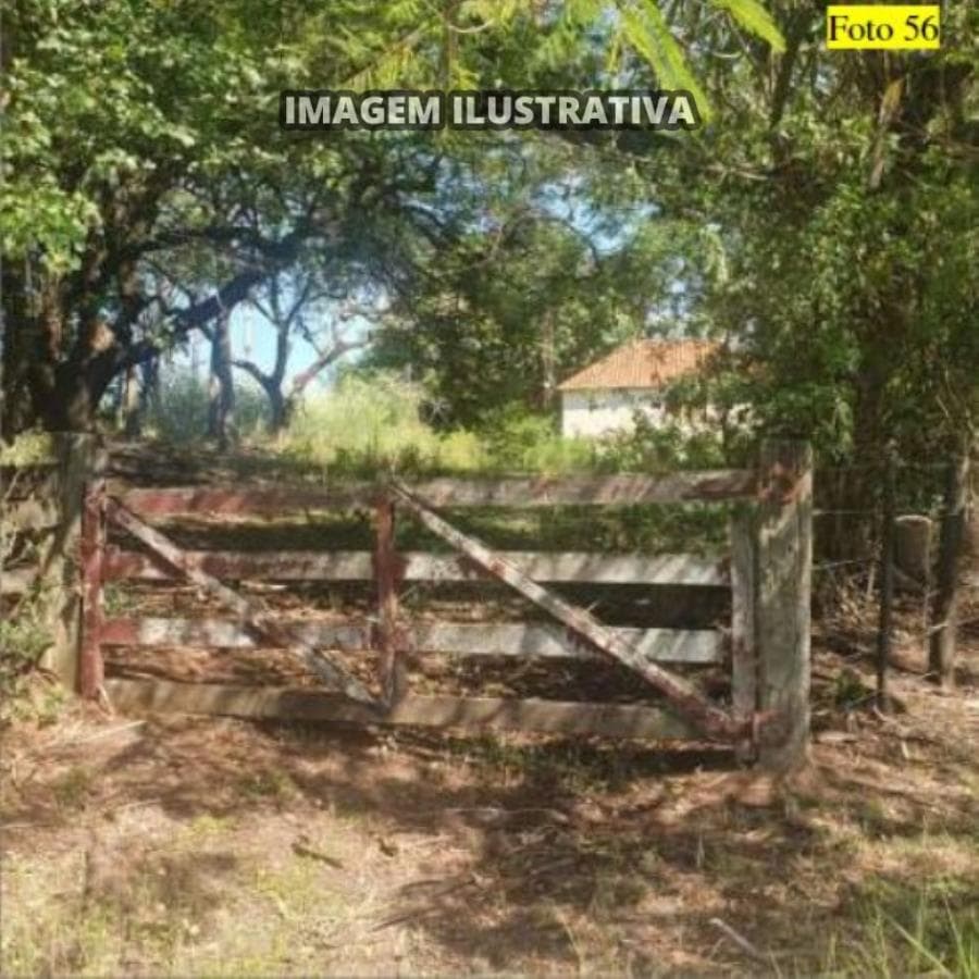 Foto 15 de 28: Area Rural em leilão em Potirendaba - SP — 2 SÍTIO 8,40 alq/20,342596 ha - Potirendaba-SP (11,1111%)