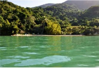 Foto 1 de 9: Area Rural em leilão em Paraty - RJ — PROPRIEDADE NA PRAIA DA PACA, EM PARATY / RJ