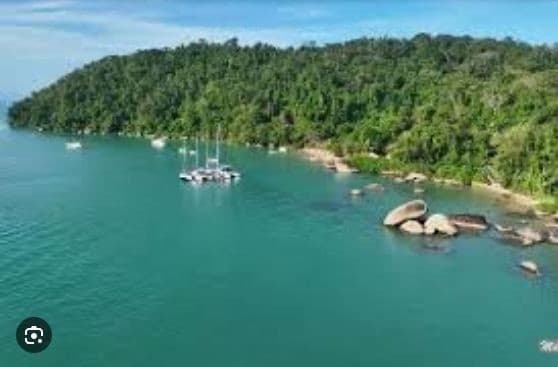 Foto 3 de 6: Imóvel em leilão em Paraty - RJ — PROPRIEDADE NA ILHA DO ARAÚJO, EM PARATY -  IMAGENS ILUSTRATIVAS