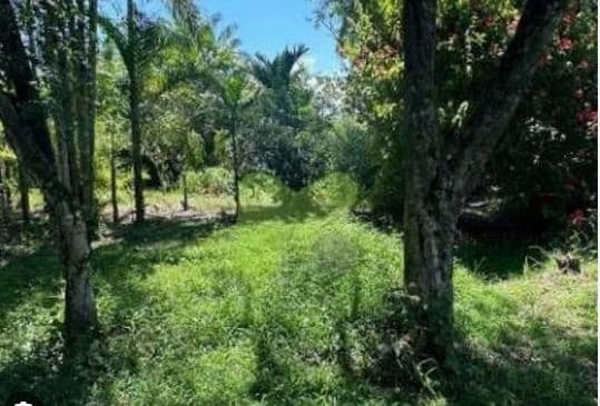 Foto 2 de 3: Imóvel em leilão em Silva Jardim - RJ — LUGAR DENOMINADO ZUNGU, EM SILVA JARDIM / RJ. As certidões do imóvel estão sendo extraídas, assim como sua fiel localização. IMAGENS ILUSTRATIVAS.