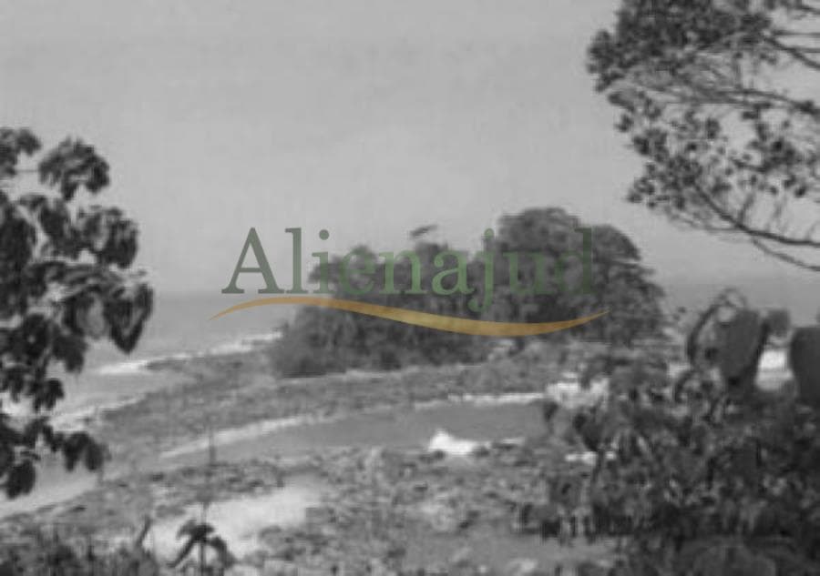 Foto 6 de 6: Area Rural em leilão em Guarujá - SP — Gleba c/ 874.500,00m² situado na Ilha de Santo Amaro em Guarujá/SP Gleba c/ 874.500,00m² situado na Ilha de Santo Amaro em Guarujá/SP