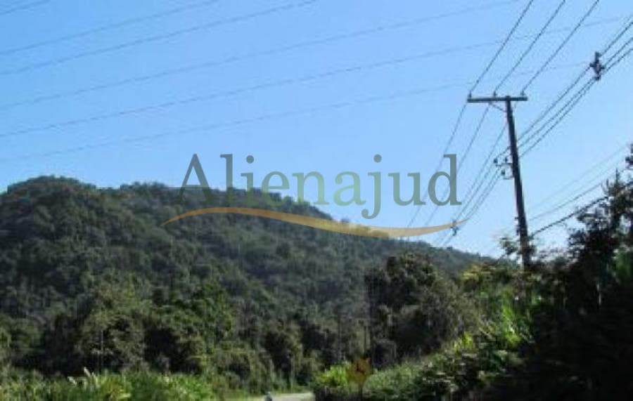 Foto 4 de 4: Area Rural em leilão em Guarujá - SP — Parte da Fazenda Perequê situada no Guarujá/SP Parte da Fazenda Perequê situada no Guarujá/SP