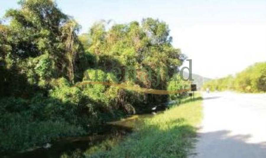 Foto 4 de 5: Area Rural em leilão em Guarujá - SP — Área de terras situada na Fazenda Perequê situado no Guarujá/SP Área de terras situada na Fazenda Perequê Guarujá
