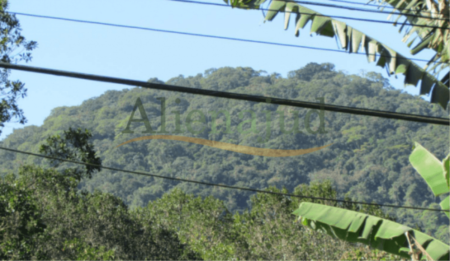 Foto 2 de 3: Area Rural em leilão em Guarujá - SP — Área situada na Fazenda Perequê com 1.162.250,00m² Área situada na Fazenda Perequê com 1.162.250,00m²