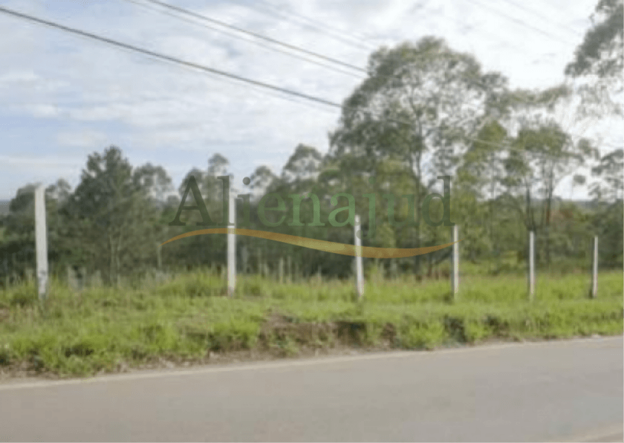 Foto 3 de 6: Area Rural em leilão em Cotia - SP — Uma gleba de terras c/ área de 61.031,51m² situada na Estrada das Jabuticabeiras - Caucaia do Alto Uma gleba de terras c/ área de 61.031,51m² situada na Estrada das Jabuticabeiras - Caucaia do Alto