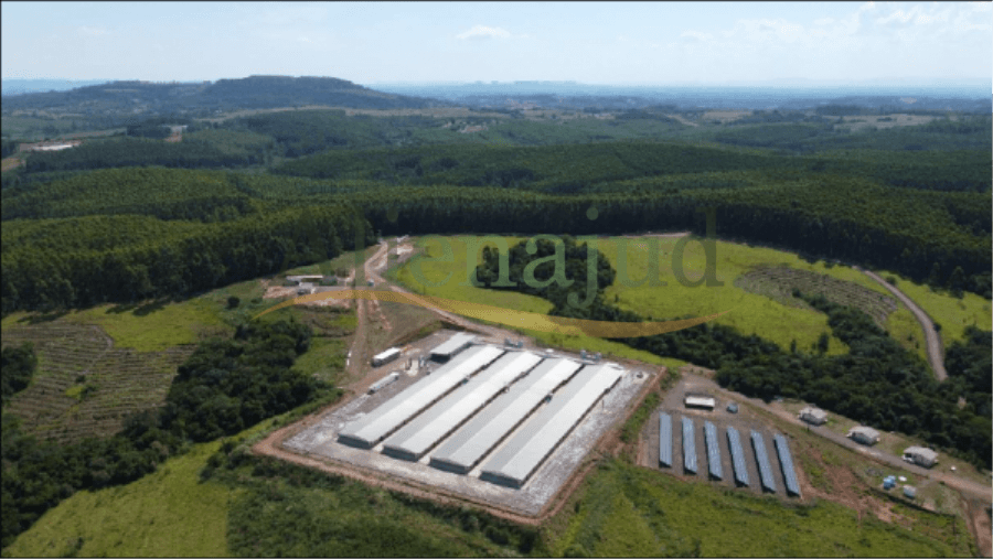 Foto 11 de 13: Area Rural em leilão em Bom Retiro Do Sul - RS — Uma área de terras com 500.000,00m² situado em Bom Retiro do Sul/RS Propriedades rurais em MG e uma área no RS