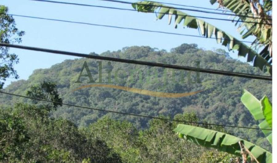 Foto 2 de 4: Area Rural em leilão em Guarujá - SP — Parte da Fazenda Perequê situada no Guarujá/SP Parte da Fazenda Perequê situada no Guarujá/SP
