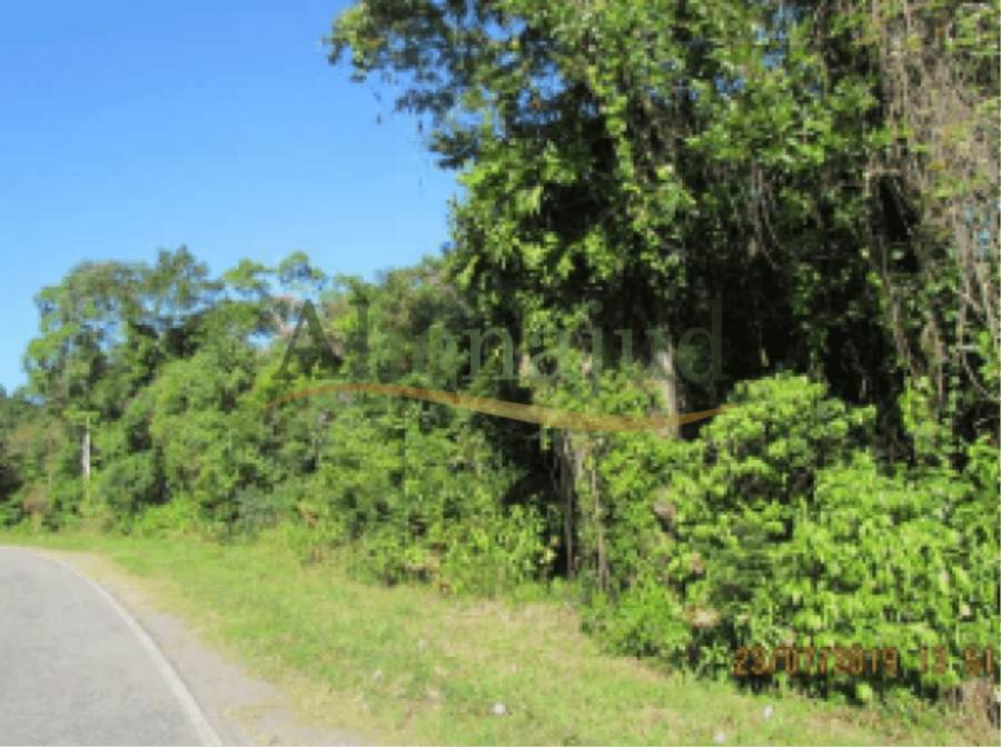 Foto 3 de 3: Area Rural em leilão em Guarujá - SP — Área situada na Fazenda Perequê com 1.162.250,00m² Área situada na Fazenda Perequê com 1.162.250,00m²