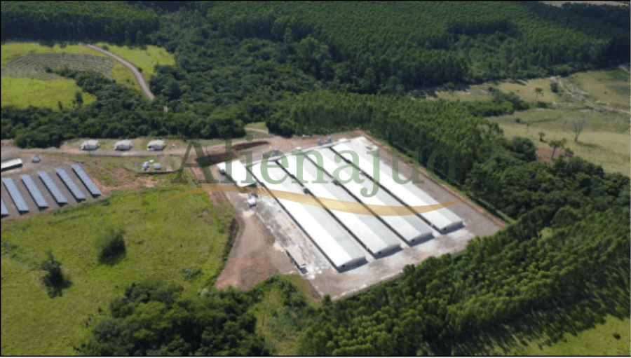 Foto 10 de 13: Area Rural em leilão em Bom Retiro Do Sul - RS — Uma área de terras com 500.000,00m² situado em Bom Retiro do Sul/RS Propriedades rurais em MG e uma área no RS