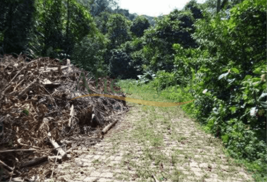 Foto 6 de 8: Terreno em leilão em Guarujá - SP — Loteamento c/ área total de 20.000,00m² Lotes de terrenos situado em Balneário Prainha Branca na cidade de Guarujá