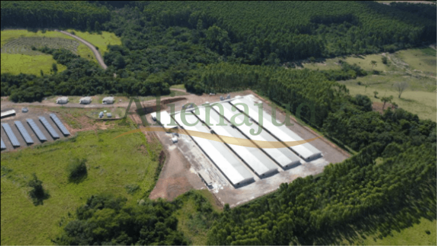 Foto 9 de 13: Area Rural em leilão em Bom Retiro Do Sul - RS — Uma área de terras com 500.000,00m² situado em Bom Retiro do Sul/RS Propriedades rurais em MG e uma área no RS
