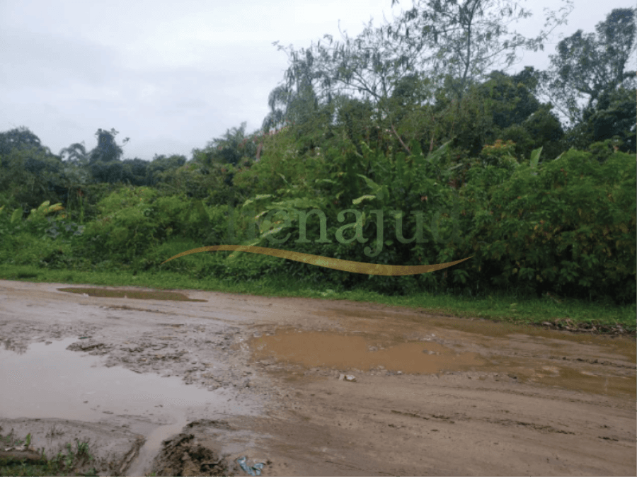 Foto 3 de 3: Terreno em leilão em Guarujá - SP — Terreno coberto por vegetação c/ 388m²  - Praia Perequê - Guarujá/SP 665º LEILÃO JUDICIAL UNIFICADO TRT DA 2ª REGIÃO