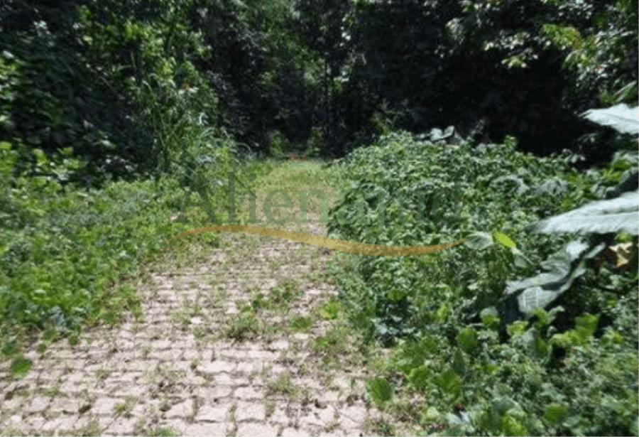 Foto 8 de 8: Terreno em leilão em Guarujá - SP — Loteamento c/ área total de 20.000,00m² Lotes de terrenos situado em Balneário Prainha Branca na cidade de Guarujá