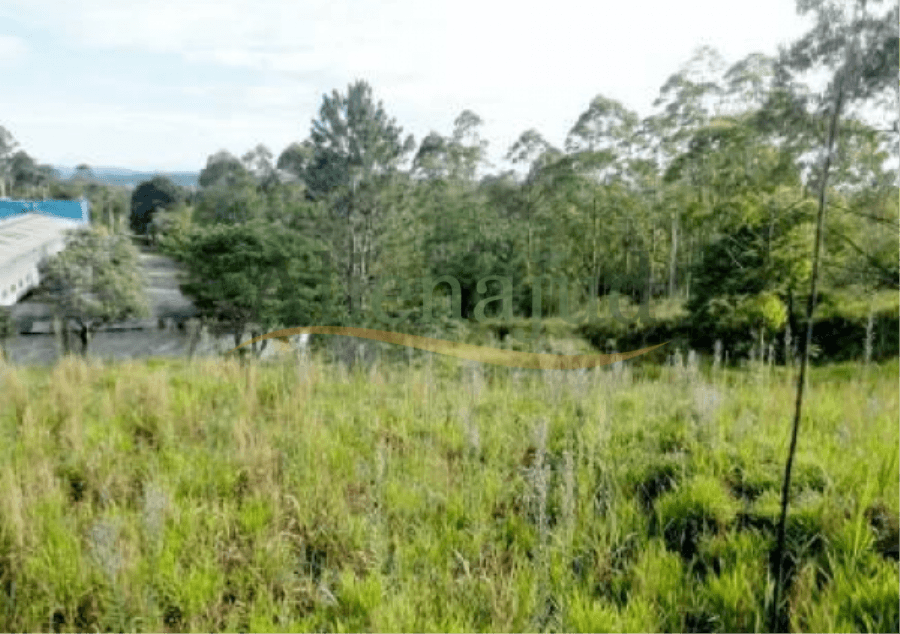 Foto 5 de 6: Area Rural em leilão em Cotia - SP — Uma gleba de terras c/ área de 61.031,51m² situada na Estrada das Jabuticabeiras - Caucaia do Alto Uma gleba de terras c/ área de 61.031,51m² situada na Estrada das Jabuticabeiras - Caucaia do Alto