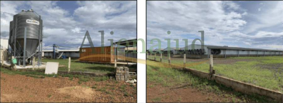 Foto 2 de 6: Area Rural em leilão em Uberaba - MG — Uma propriedade rural com área de 43,0494 hectares Propriedades rurais de 19,3971 e 43,0494 hec. - Uberaba/MG
