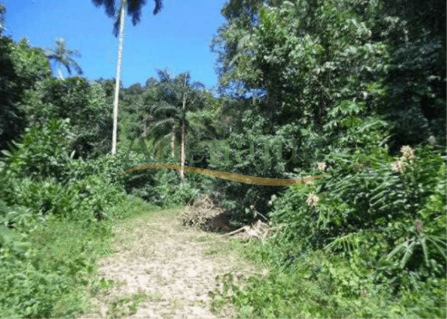 Foto 8 de 8: Terreno em leilão em Guarujá - SP — Loteamento c/ área total de 2.131,00 m² Lotes de terrenos situado em Balneário Prainha Branca na cidade de Guarujá