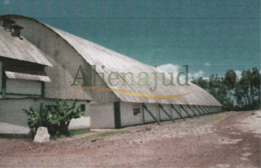Foto 3 de 7: Terreno em leilão em Alegria - RS — Terreno c/ área de 46.302,16 m² situada em Alegria/RS Lote de terrenos situados no Rio Grande do Sul