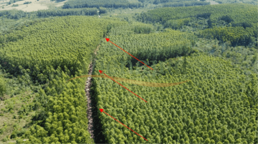 Foto 3 de 13: Area Rural em leilão em Bom Retiro Do Sul - RS — Uma área de terras com 500.000,00m² situado em Bom Retiro do Sul/RS Propriedades rurais em MG e uma área no RS