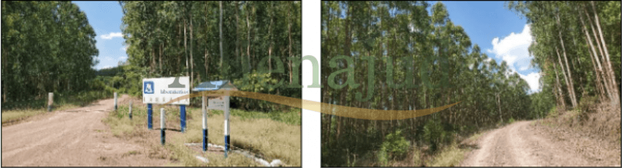 Foto 2 de 13: Area Rural em leilão em Bom Retiro Do Sul - RS — Uma área de terras com 500.000,00m² situado em Bom Retiro do Sul/RS Propriedades rurais em MG e uma área no RS