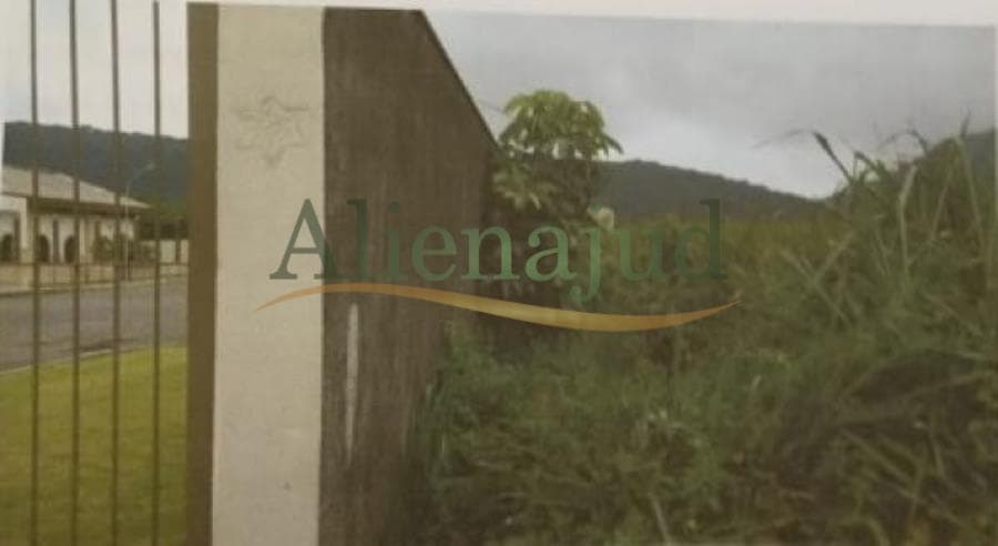 Foto 4 de 5: Area Rural em leilão em Guarujá - SP — Área de 10.000m² situado na Fazenda Vargem Grande - Morrinhos - Guarujá/SP Área de 10.000m² situado na Fazenda Vargem Grande - Morrinhos - Guarujá/SP