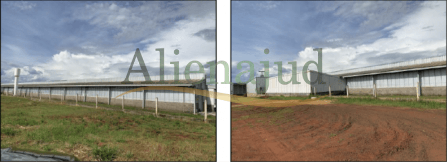 Foto 6 de 6: Area Rural em leilão em Uberaba - MG — Uma propriedade rural com área de 43,0494 hectares Propriedades rurais de 19,3971 e 43,0494 hec. - Uberaba/MG