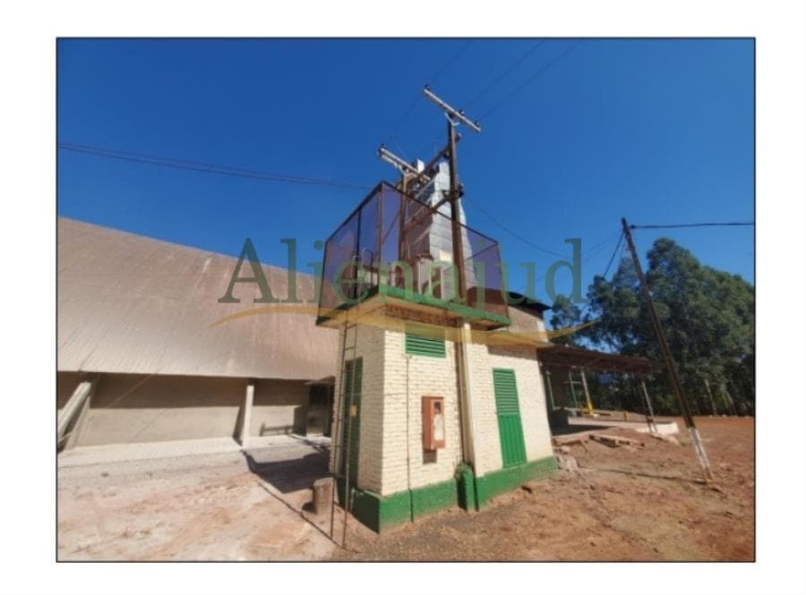 Foto 16 de 23: Terreno em leilão em Alegria - RS — Fração de terras c/ área total de 46.302,16 m² em Alegria/RS Fração de terras c/ área total de 46.302,16 m² em Alegria/RS