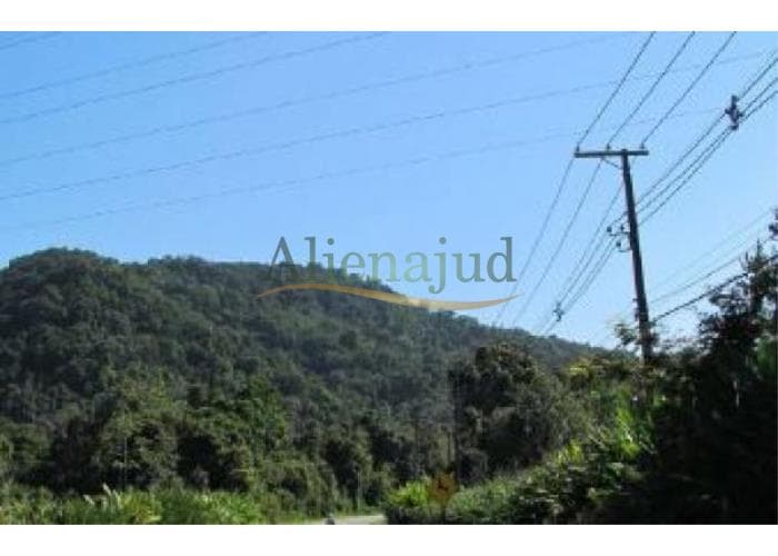 Foto 1 de 4: Area Rural em leilão em Guarujá - SP — Parte da Fazenda Perequê situada no Guarujá/SP Parte da Fazenda Perequê situada no Guarujá/SP