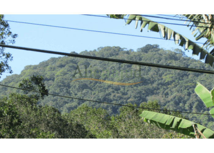 Foto 1 de 3: Area Rural em leilão em Guarujá - SP — Área situada na Fazenda Perequê com 1.162.250,00m² Área situada na Fazenda Perequê com 1.162.250,00m²