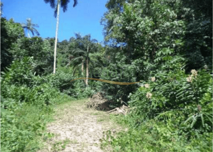 Foto 1 de 8: Terreno em leilão em Guarujá - SP — Loteamento c/ área total de 20.000,00m² Lotes de terrenos situado em Balneário Prainha Branca na cidade de Guarujá