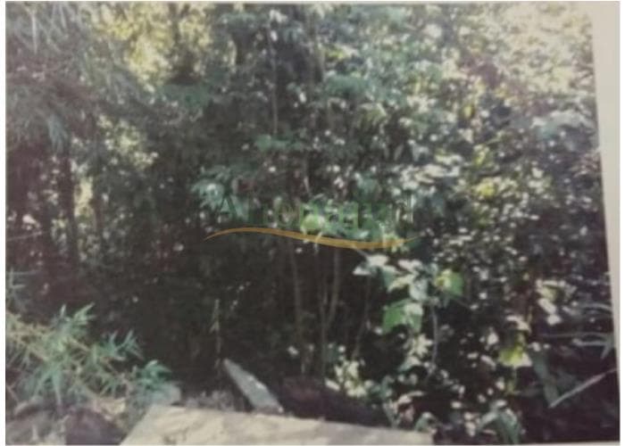 Terreno em leilão em Guarujá - SP — Terreno c/ área de 1.200m² situado a Rodovia Guarujá-Bertioga Km 17,5 - Iporanga - Guarujá/SP Terreno c/ área de 1.200m² situado a Rodovia Guarujá-Bertioga Km 17,5 - Iporanga - Guarujá/SP