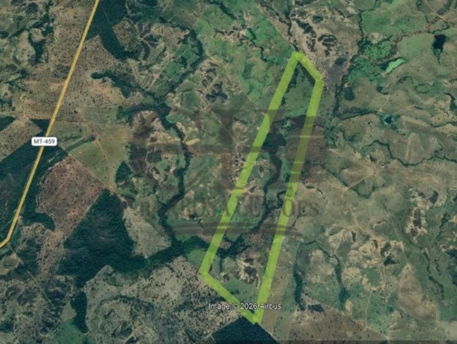 Foto 4 de 4: Area Rural em leilão em Guiratinga - MT, bairro Vale Rico — FAZ PRIMAVERA IV (259 HÁ) GUIRATINGA FAZENDA PRIMAVERA IV (259 HECTARES)