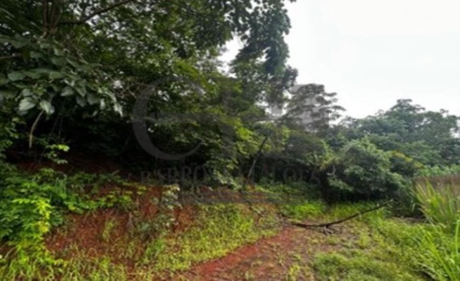 Foto 2 de 8: Terreno em leilão em Diamantino - MT, bairro Nossa Senhora da Conceição — LOTE URBANO (DIAMANTINO) - 634m² LEILÃO CONDICIONAL - MATO GROSSO