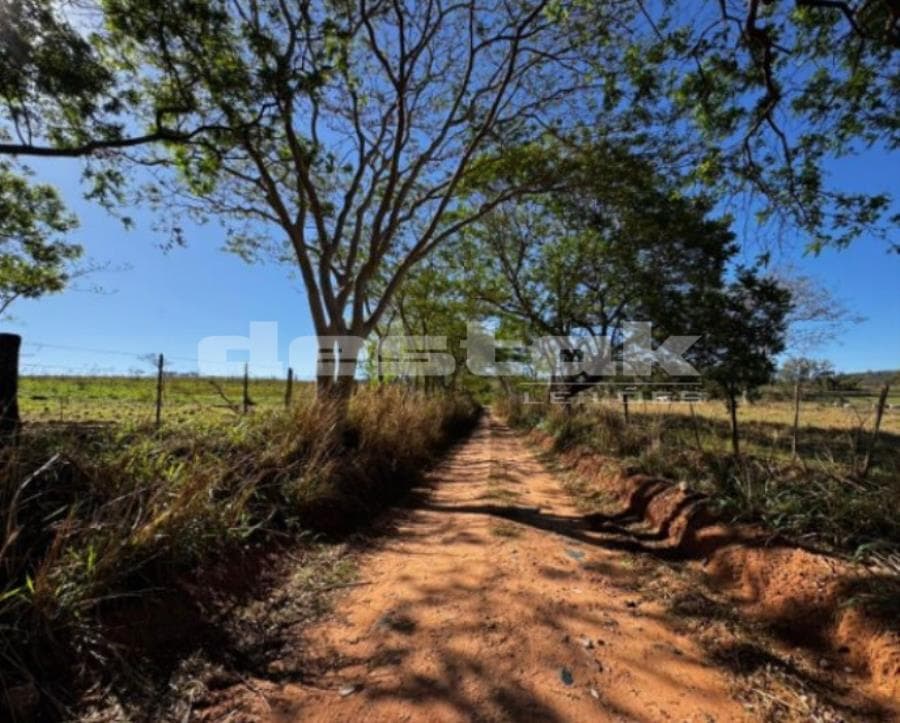 Foto 3 de 6: Area Rural em leilão em Oriente - SP, bairro Santa Maria — Imóvel Rural Sítio Santa Helena II em Oriente/SP Imóvel Rural Sítio Santa Helena II em Oriente/SP
