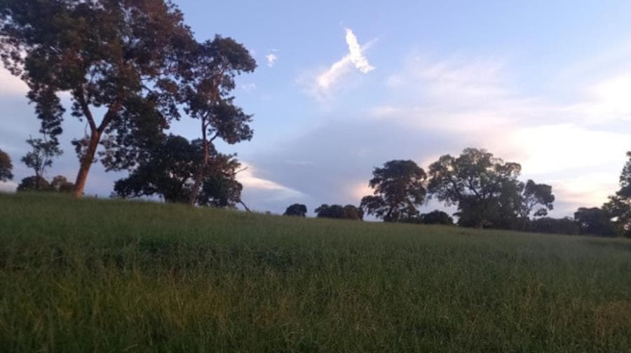 Foto 8 de 8: Area Rural em leilão em Ituiutaba - MG — Ituiutaba/MG - Imóvel Rural com 38ha Leilão Sicoob