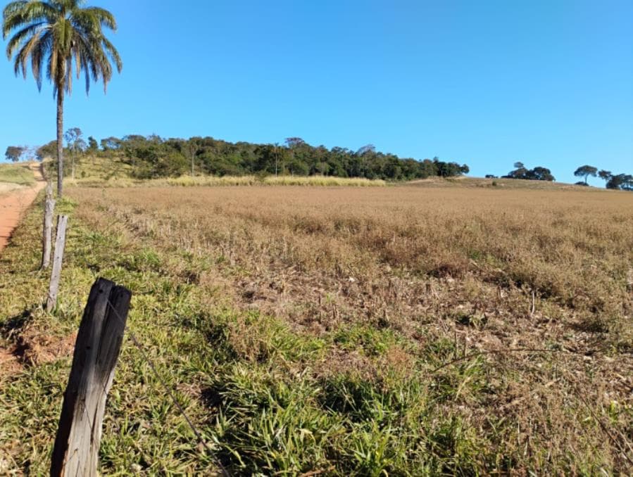 Foto 3 de 5: Area Rural em leilão em Serra Do Salitre - MG — Município de Serra do Salitre/MG - Capim Novo - Rural com área de 36 há Leilão Sicoob