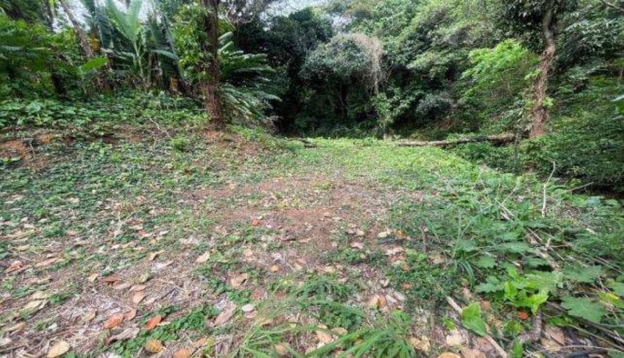 Foto 2 de 8: Terreno em leilão em Rio De Janeiro - RJ, bairro Jacarepaguá — Rio de Janeiro/RJ - Itanhanga - Terreno com 994m² Leilão Banco Inter