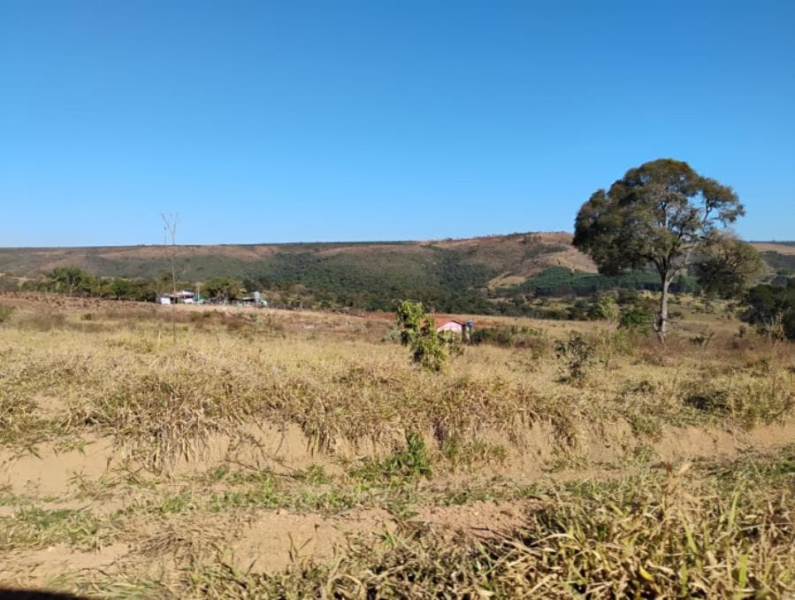 Foto 5 de 5: Area Rural em leilão em Serra Do Salitre - MG — Município de Serra do Salitre/MG - Capim Novo - Rural com área de 36 há Leilão Sicoob