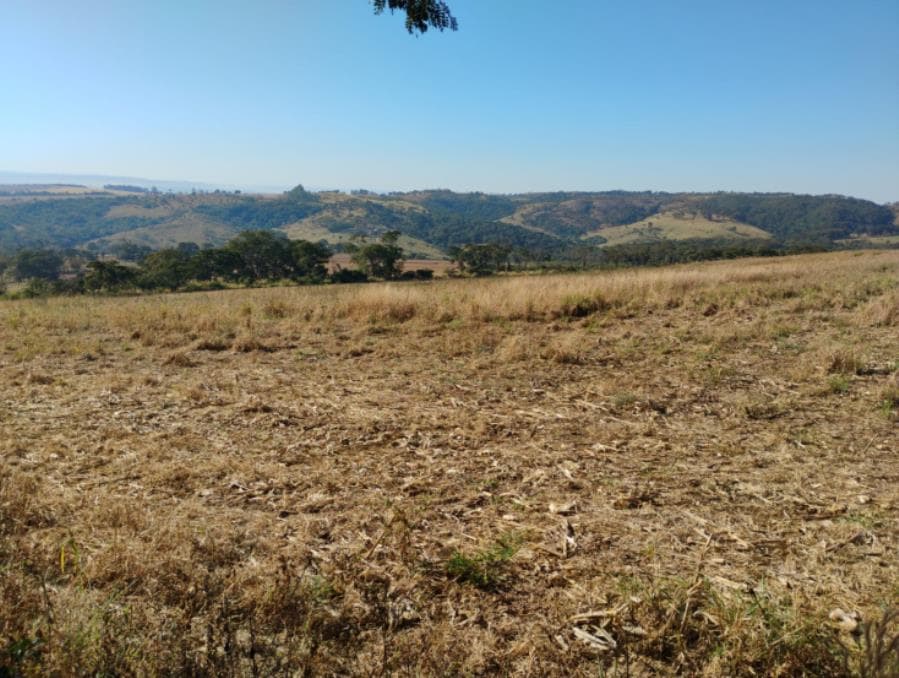 Foto 4 de 5: Area Rural em leilão em Serra Do Salitre - MG — Município de Serra do Salitre/MG - Capim Novo - Rural com área de 36 há Leilão Sicoob