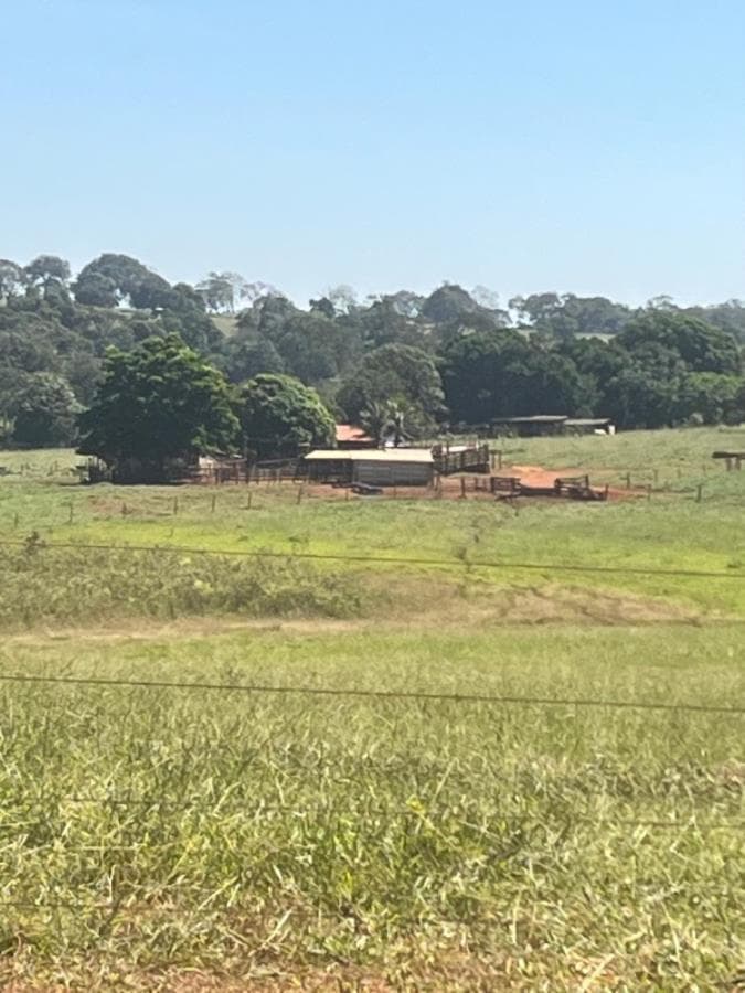 Foto 2 de 8: Area Rural em leilão em Ituiutaba - MG — Ituiutaba/MG - Imóvel Rural com 38ha Leilão Sicoob