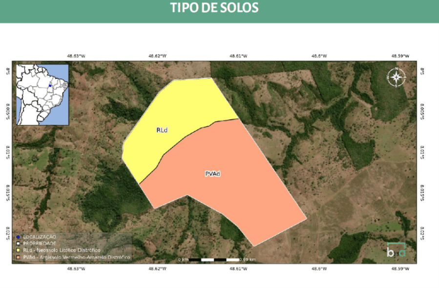 Foto 8 de 15: Area Rural em leilão em Colinas Do Tocantins - TO — Colinas do Tocantins/TO - Vale das Cunhãs - Fazenda com 306ha Leilão Banco Inter