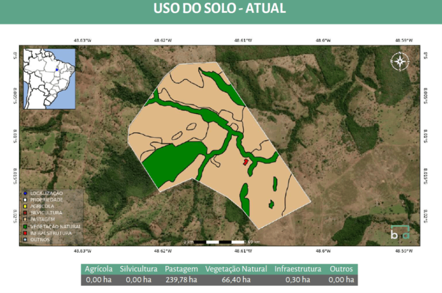 Foto 10 de 15: Area Rural em leilão em Colinas Do Tocantins - TO — Colinas do Tocantins/TO - Vale das Cunhãs - Fazenda com 306ha Leilão Banco Inter