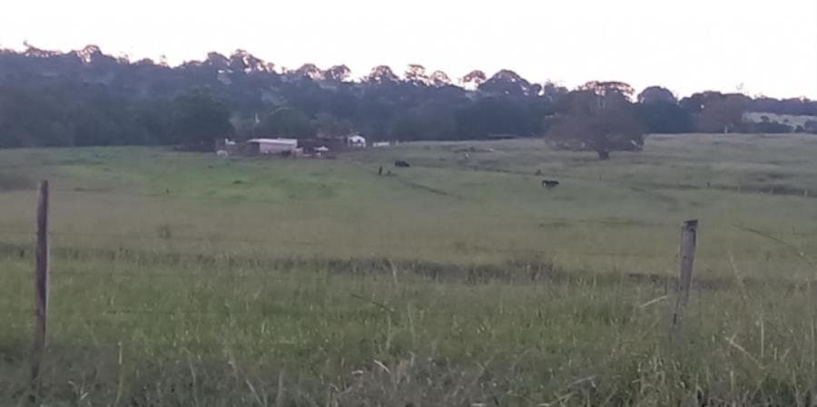 Foto 6 de 8: Area Rural em leilão em Ituiutaba - MG — Ituiutaba/MG - Imóvel Rural com 38ha Leilão Sicoob