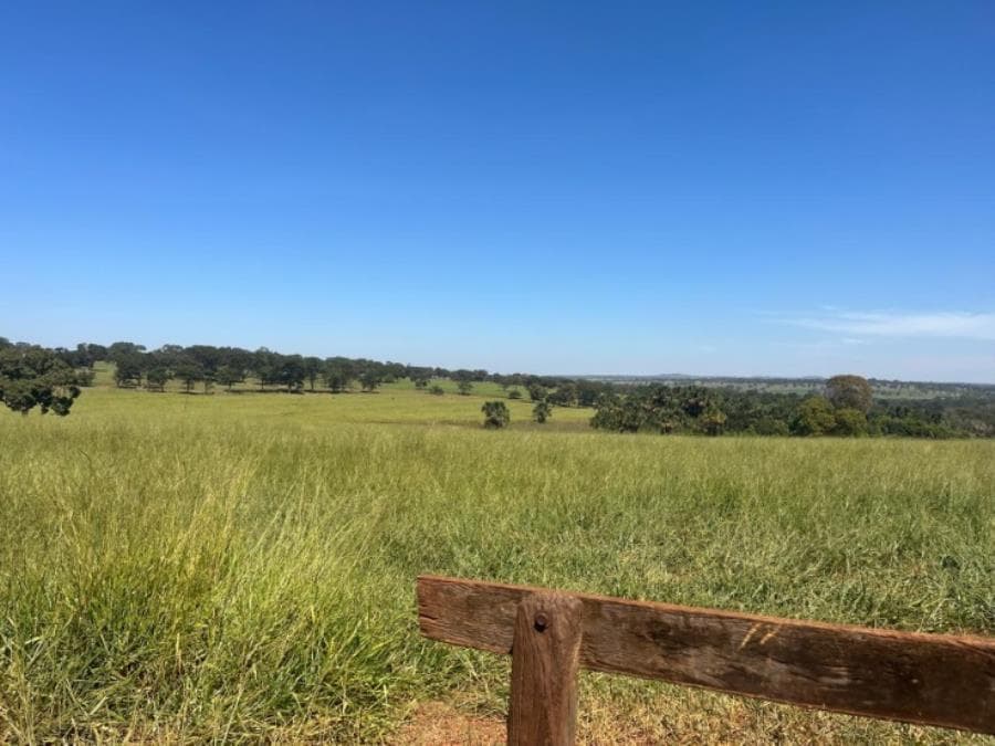 Foto 3 de 8: Area Rural em leilão em Ituiutaba - MG — Ituiutaba/MG - Imóvel Rural com 38ha Leilão Sicoob