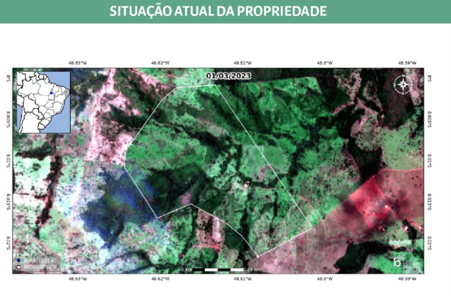 Foto 4 de 15: Area Rural em leilão em Colinas Do Tocantins - TO — Colinas do Tocantins/TO - Vale das Cunhãs - Fazenda com 306ha Leilão Banco Inter