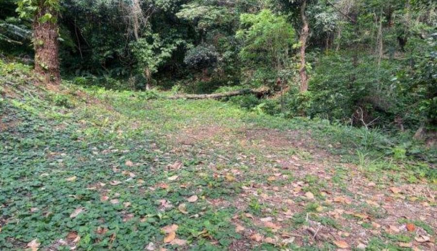 Foto 1 de 8: Terreno em leilão em Rio De Janeiro - RJ, bairro Jacarepaguá — Rio de Janeiro/RJ - Itanhanga - Terreno com 994m² Leilão Banco Inter