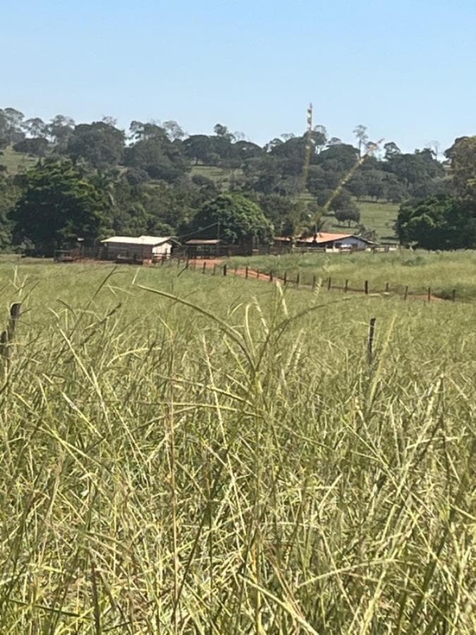 Foto 1 de 8: Area Rural em leilão em Ituiutaba - MG — Ituiutaba/MG - Imóvel Rural com 38ha Leilão Sicoob