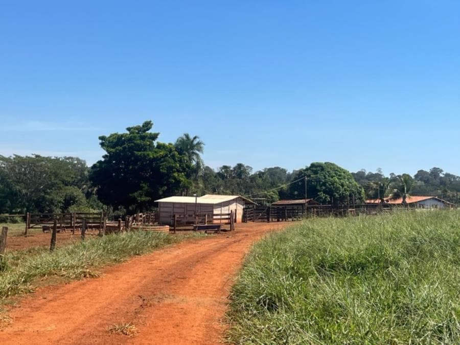 Foto 5 de 8: Area Rural em leilão em Ituiutaba - MG — Ituiutaba/MG - Imóvel Rural com 38ha Leilão Sicoob