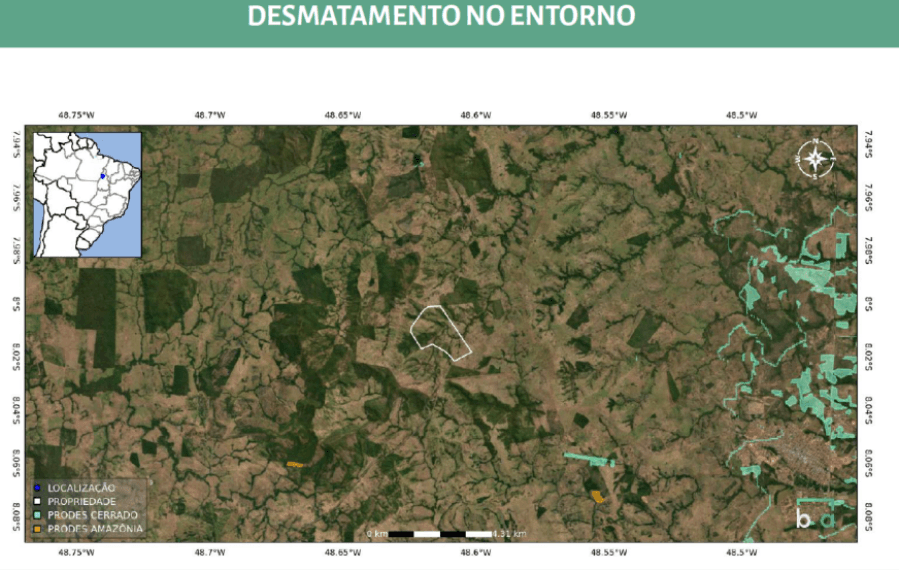 Foto 15 de 15: Area Rural em leilão em Colinas Do Tocantins - TO — Colinas do Tocantins/TO - Vale das Cunhãs - Fazenda com 306ha Leilão Banco Inter