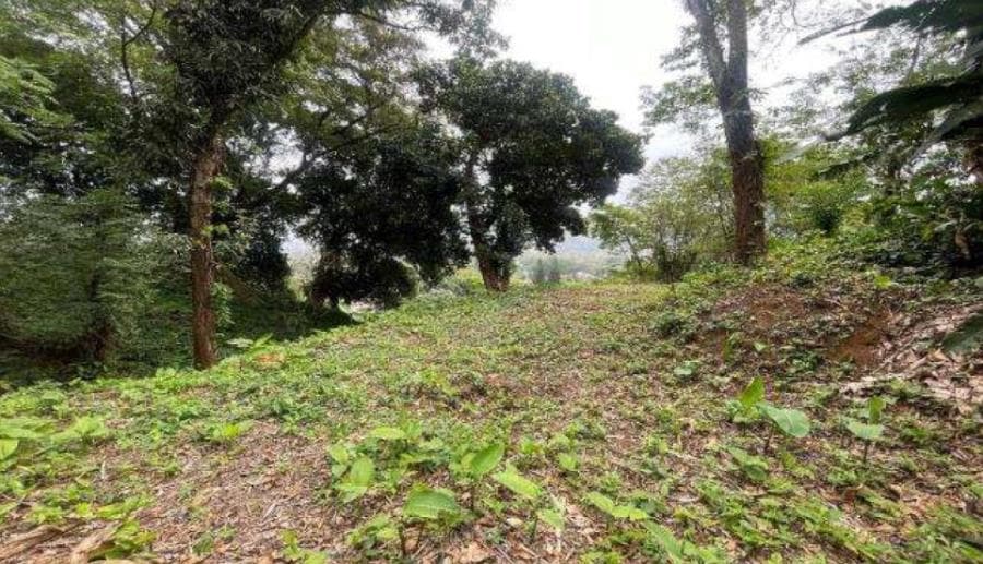 Foto 7 de 8: Terreno em leilão em Rio De Janeiro - RJ, bairro Jacarepaguá — Rio de Janeiro/RJ - Itanhanga - Terreno com 994m² Leilão Banco Inter