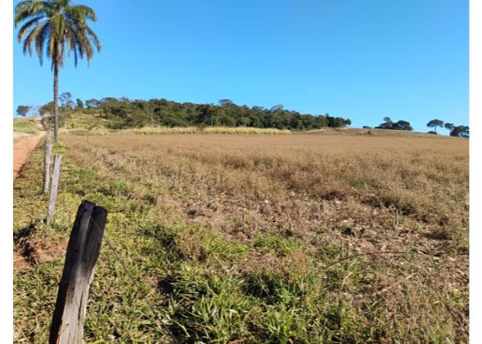 Foto 1 de 5: Area Rural em leilão em Serra Do Salitre - MG — Município de Serra do Salitre/MG - Capim Novo - Rural com área de 36 há Leilão Sicoob